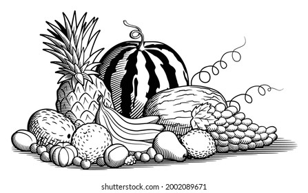Big pile of tropical fruits. Watermelon, melon, pineapple, bananas, coconut, grapes, orange, lemon, pear, plums, apricot, tangerine and berries. Black and white vector illustration in retro style