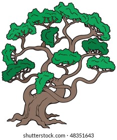 Big pine tree - vector illustration.