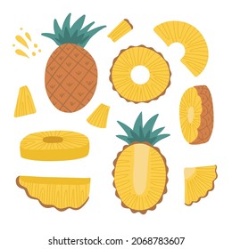 Big Pineapples set - Whole pineapple, ananas and parts, leaves, slices, core, juice drops. Collection of fruit images. Flat design graphic elements. Vector illustration isolated on white background