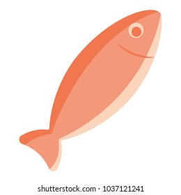 Big pink fish vector, flat design without background, salmon
