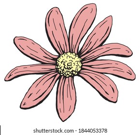 Big pink flower drawing vector
