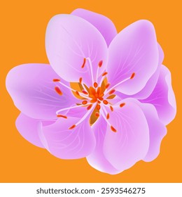 Big pink flower vector illustration