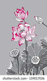 Big pink lotus on grey background