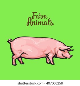 Big pink pig upright on a green background. Realistic colored sketch illustration of farm pig vetor