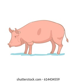 Big pink pig upright on a white background. Realistic colored sketch vector illustration of farm pig.