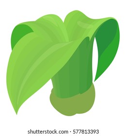 Big plant icon. Cartoon illustration of big plant vector icon for web