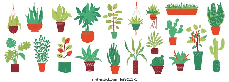 Big plants collection. House plants. Hand drawn vector art. Set of  vector house indoor plant