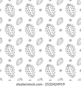 Big plump blooming cactus in doodle style. Simple seamless pattern. Vector illustration.