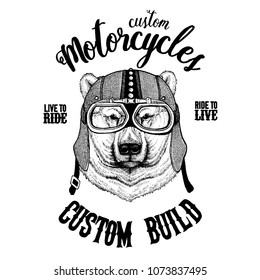 Big polar bear, White bear Biker, motorcycle animal. Hand drawn image for tattoo, emblem, badge, logo, patch, t-shirt