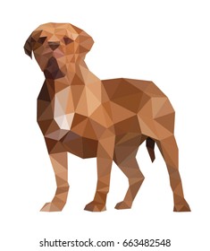 Big polygonal dog mastiff