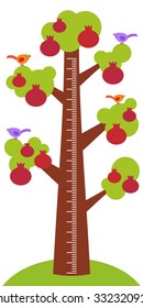 Big pomegranate tree with green leaves birds and ripe dark red garnet fruit on white background Children height meter wall sticker, kids measure. Vector