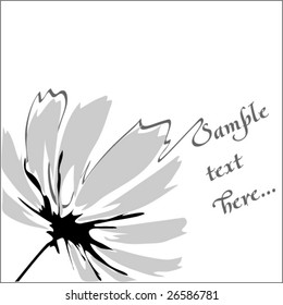 big pretty ox-eye daisy