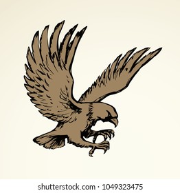 Big pride Hieraaetus accipitrine fly on white sky background. Freehand line brown ink hand drawn eagel logo emblem sketchy in art vintage scribble style pen on paper. Closeup view and space for text