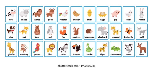 big printable animals flashcards collection learning stock vector royalty free 1902205738 shutterstock