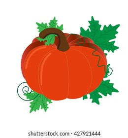 big pumpkin in the garden