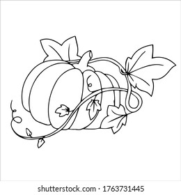 big pumpkin in the garden vector illustration isolated on white background