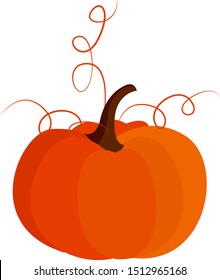 Big pumpkin, illustration, vector on white background.