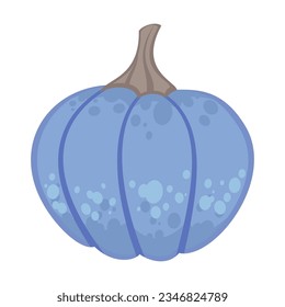 Big pumpkin on white background. Autumn harvesting and seasonal vegetables cartoon illustration. Autumn of fall concept