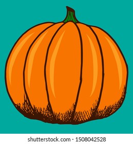Big pumpkin of orange color. Pumpkin is the fruit of autumn.