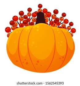 Big pumpkin with rowan in the background