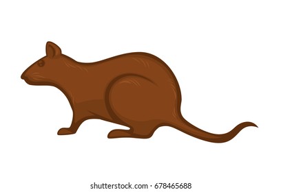 Big rat with brown fur isolated cartoon illustration