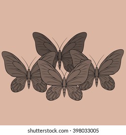 Big realistic collection of colorful butterflies. Summer flying insects set for greeting cards and  scrapbook vector
