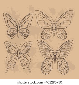 Big realistic collection of colorful butterflies. Ornithoptera croesus and goliath, papilionidae rumanzovia and ulysses, summer flying insects set for greeting cards and  scrapbook vector