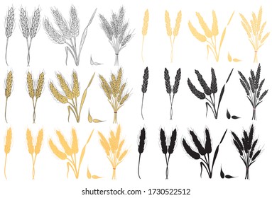 Big realistic set of black silhouette ripe wheat isolated on a white background. Vector set of ears of wheat. Cereal crop, agriculture or bakery theme .Vector illustration.