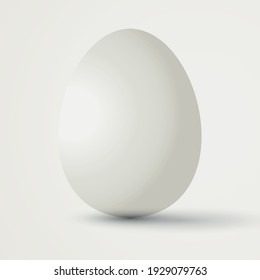 Big realistic white chicken egg with shadow on white background - Vector illustration