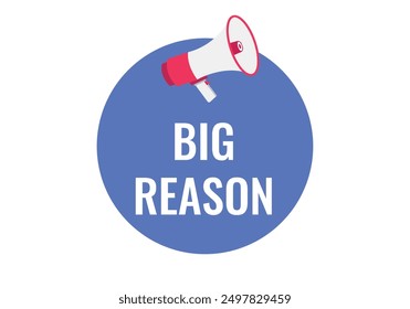 Big Reason button, banner, label, template for website. Big Reason text with colorful megaphone icon