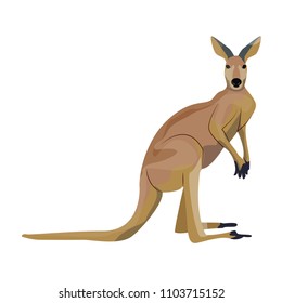 Big red Australian kangaroo. Wild animals of Australia. Fauna. Endemic species. Vector illustration, isolated on white background.