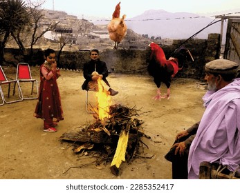 A big red black cock ,pink hen and people setting enjoy fire is a captivating countryside park nature water color painting great for decoration ,textile fabric print ,book cover ,card