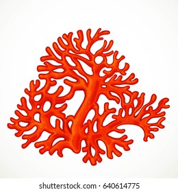 Big red corals sea life object isolated on white background