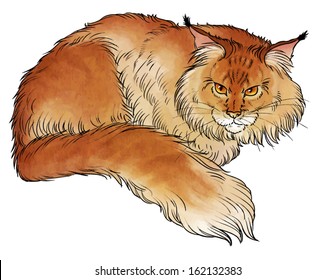 big red fluffy cat vector