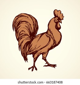 Big red gallus domesticus roster standing on light yard backdrop. Freehand linear dark ink hand drawn logo sketchy in art scribble retro style pen on paper. Closeup side view and space for text on sky