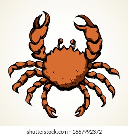 Big red healthy decapod crawl on light sand. Freehand outline black ink hand drawn health cook lobster emblem design in retro art doodle engrave print style pen on paper text space. Closeup top view