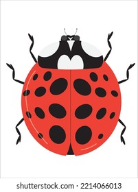 Big Red Ladybug Käfer Vektor