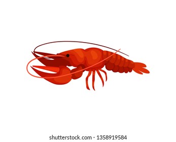 Big red lobster on white background. Delicious seafood.