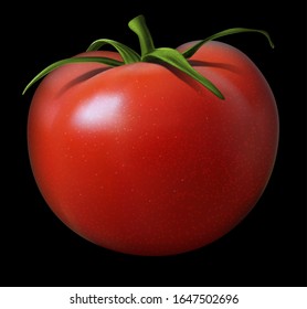 Big red shiny tomato with a green ponytail on a black background. Highly realistic illustration.