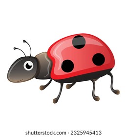 big red spotted ladybug on white background
