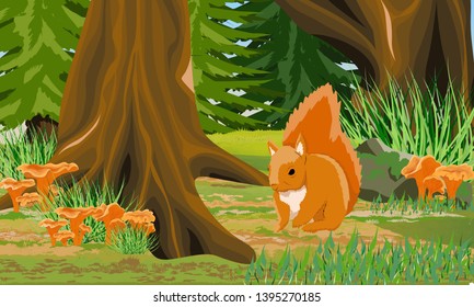 Big red squirrel in the autumn forest. Forest trees and mushrooms. Wild animals of the forest. Realistic Vector Landscape