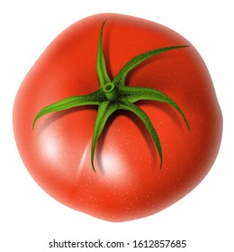 Big red tomato on a white background. Highly realistic illustration.