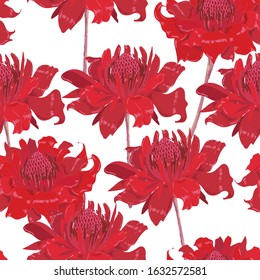 Big red torch ginger seamless pattern in vector EPS10 ,Design for fashion,fabric,wallpaper,wrapping,web, and all prints on white background