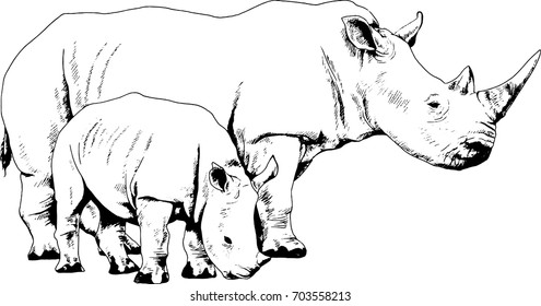 a big Rhino with a boy drawn in ink by hand on a white background