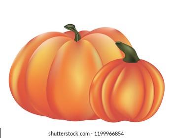 Big ripe orange pumpkin detailed illustration on white background.