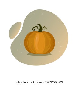 big ripe pumpkin .vector illustration of vegetables