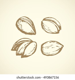 Big ripe raw dry tasty fat Pistacia vera pod isolated on white backdrop. Freehand outline ink hand drawn picture sign sketchy in art retro scribble style pen on paper. Closeup view with space for text