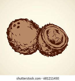 Big ripe raw fresh tasty cocoanut pod isolated on white backdrop. Freehand outline ink hand drawn picture logo sketchy in art vintage scribble style pen on paper. Closeup view with space for text