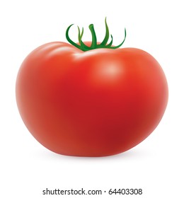 Big ripe tomato on white background. Created using gradient meshes.