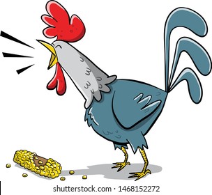 Big rooster singing at sunrise and eating corn